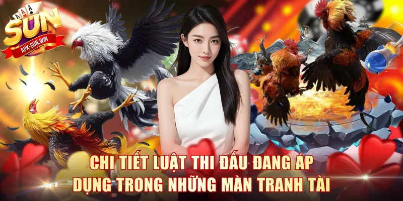 Đá Gà Thomo - Khám Phá Đấu Trường Kịch Tính Cùng Sun Win 4 Chi tiết luật thi đấu đang áp dụng trong những màn tranh tài
