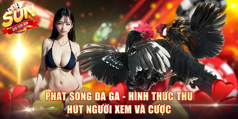 Phát Sóng Đá Gà - Hình Thức Thu Hút Người Xem Và Cược 1 Phát Sóng Đá Gà